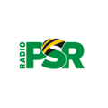 Radio PSR